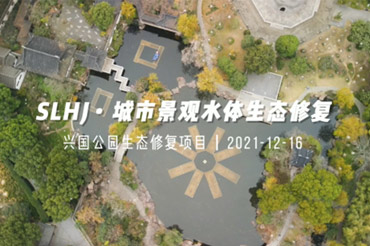 城市景觀水體生態修復項目-興國公園生態修復項目